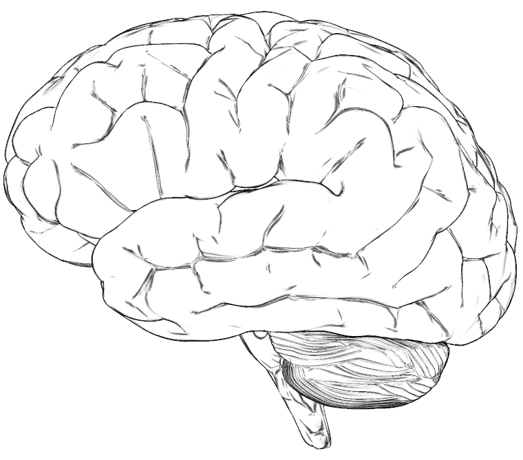 Today’s Psych Lesson: The ordering of words&nbsp;matters